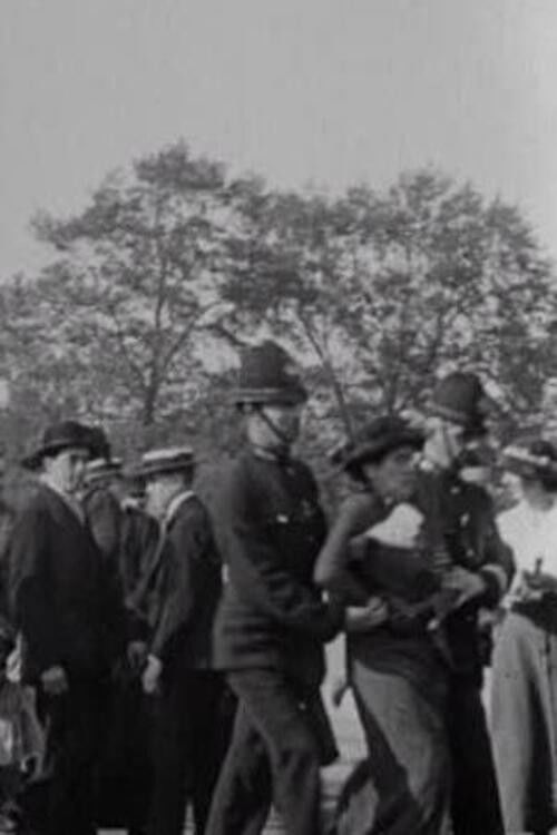 Palace Pandemonium (1914) poster