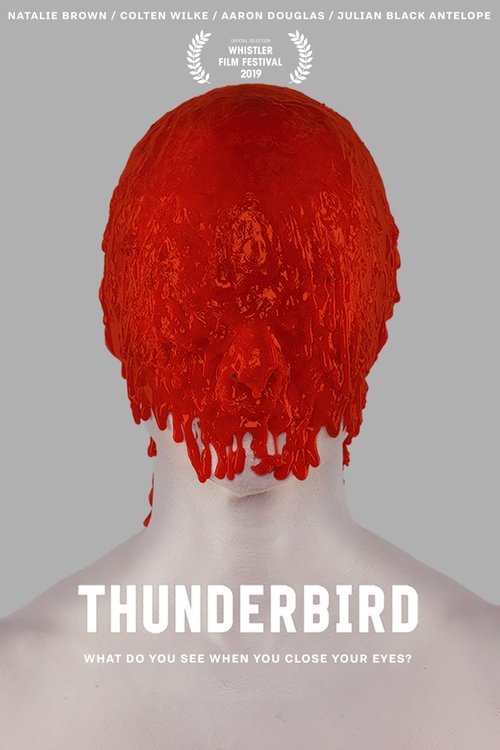 Thunderbird (2019) poster