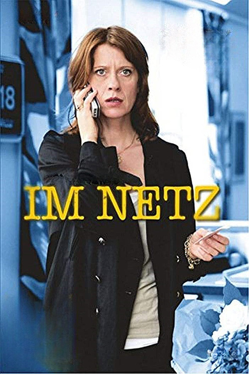 Im Netz (2013) poster