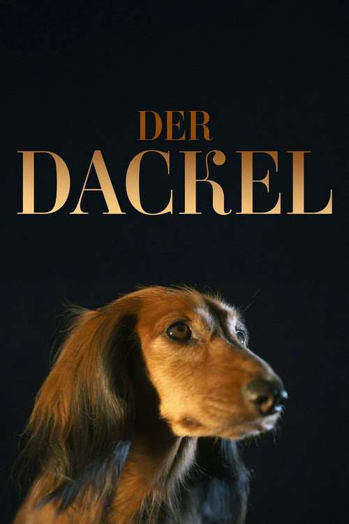 The Dachshund (2025) poster