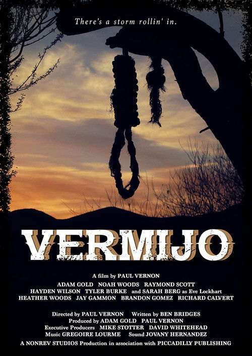 Vermijo (2017) poster