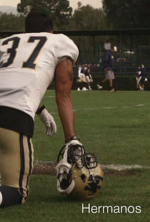 Hermanos (2016) poster