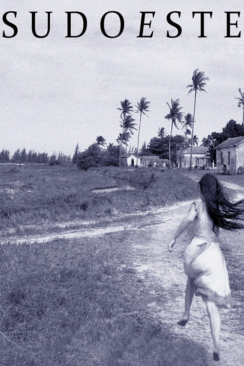 Sudoeste (2011) poster