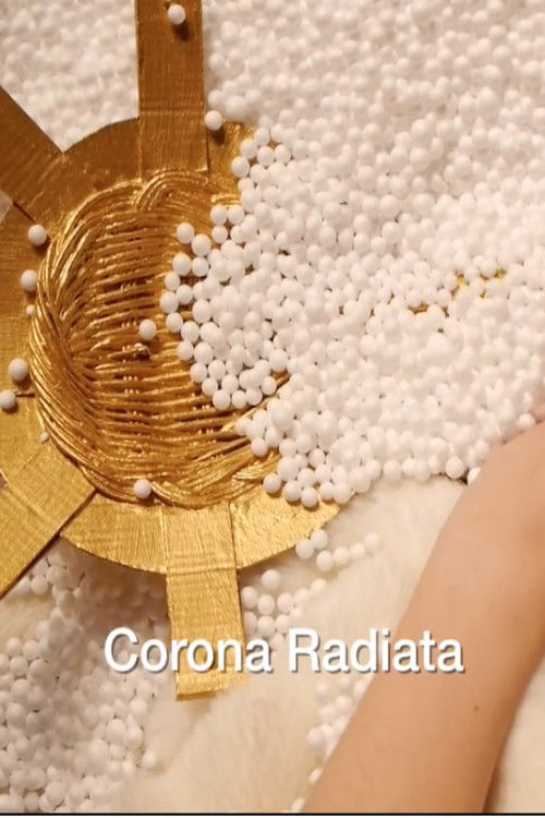 Corona Radiata (2017) poster