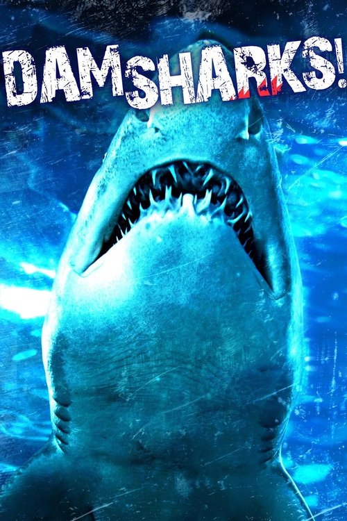 Dam Sharks! (2016) poster