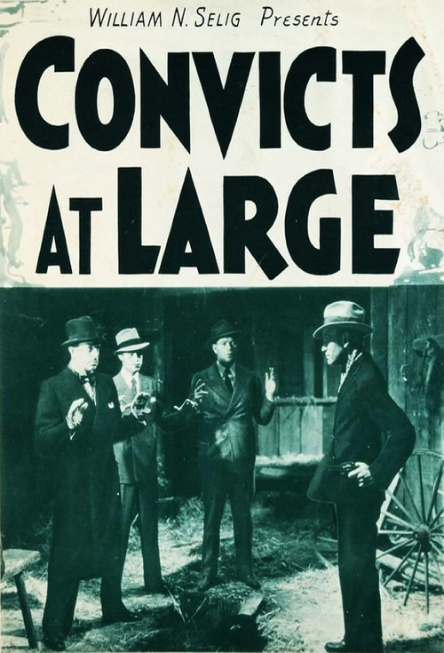 Convicts at Large (1938) poster