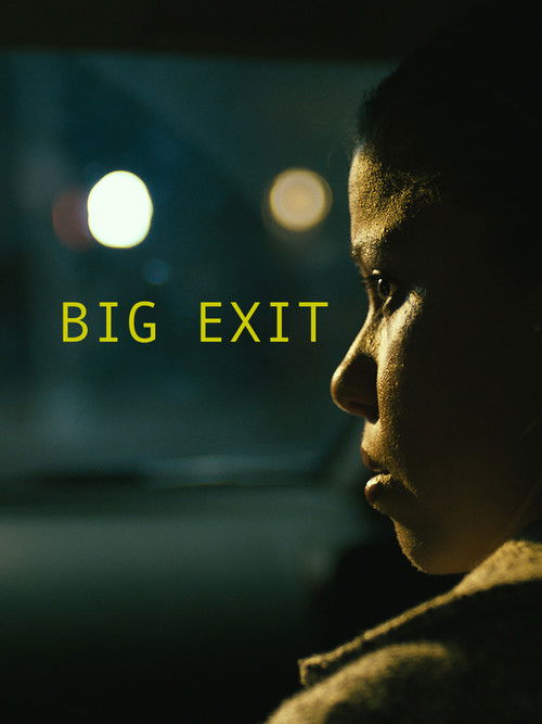 Big Exit (2020) poster