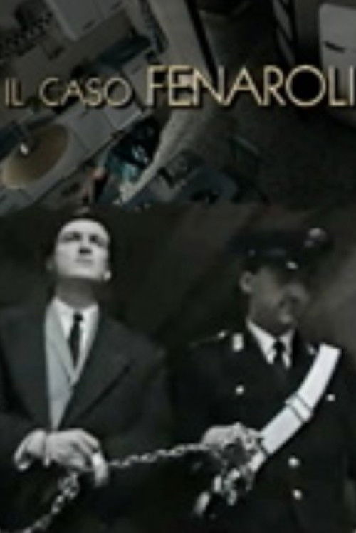 Il caso Fenaroli (1996) poster