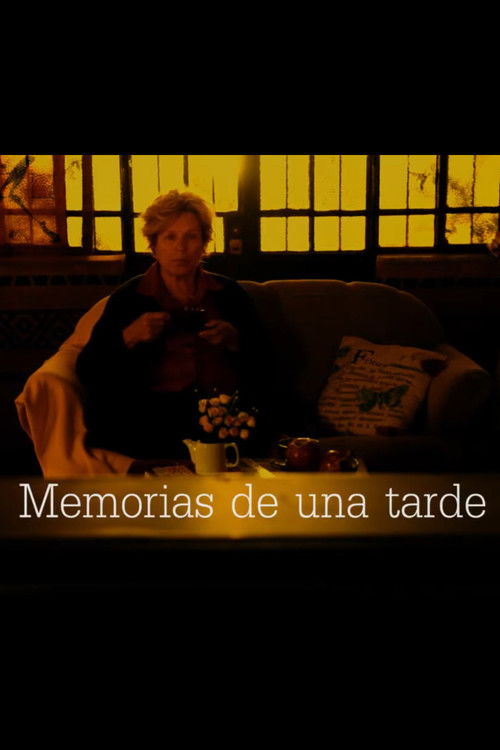 Memorias de una tarde (2019) poster