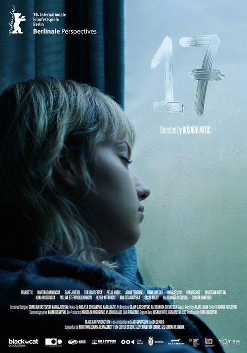 17 (2026) poster