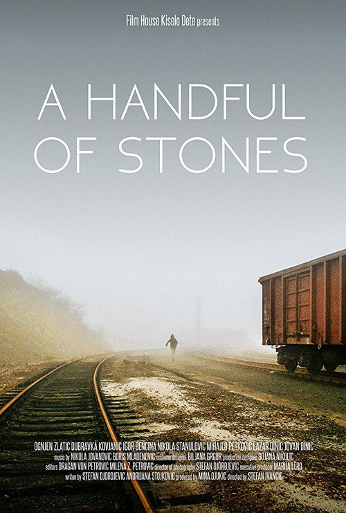 A Handful of Stones (2017) poster