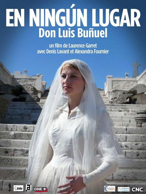 En ningún lugar, Don Luis Buñuel (2013) poster