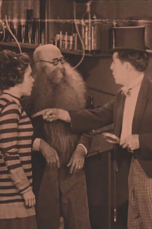 Hop Off (1928) poster