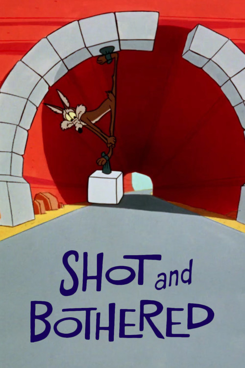 Shot and Bothered (1966) poster