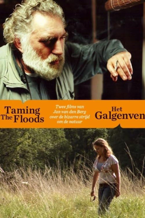 Taming the Floods (1999) poster