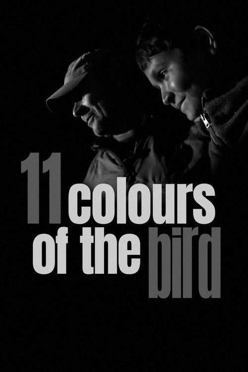 11 Colours of the Bird (2020) poster