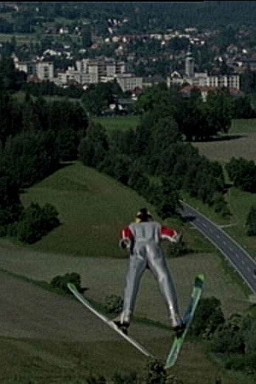 Peterka: Year of Decision (2003) poster