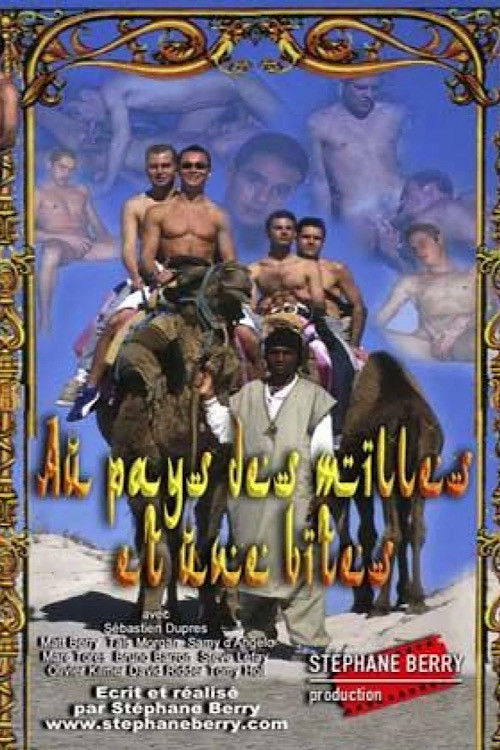 Au pays des mille et une bites (2002) poster