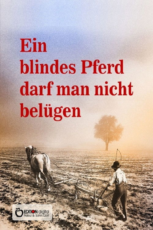 Ein blindes Pferd darf man nicht belügen (1992) poster