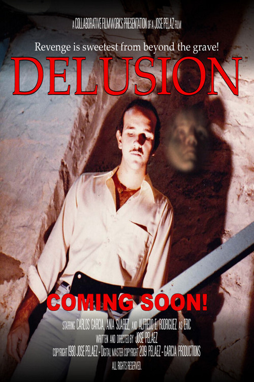 Delusion (1980) poster