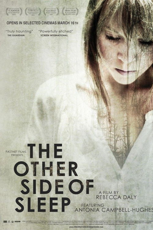 The Other Side of Sleep (2011) poster