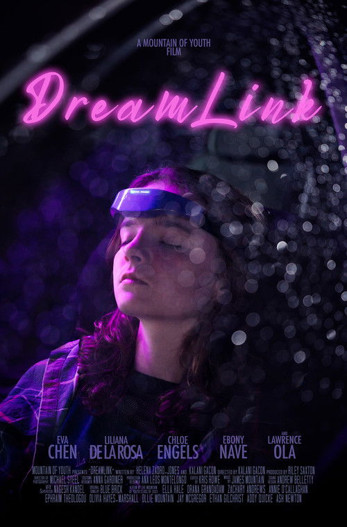 Dreamlink poster