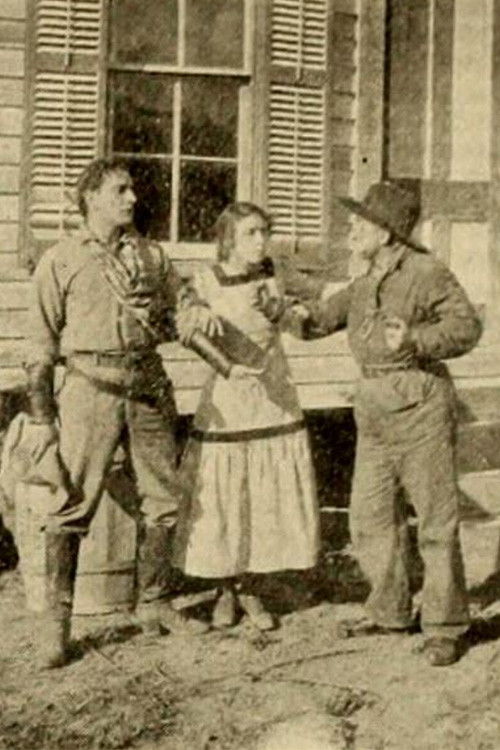 Bessie's Ride (1911) poster