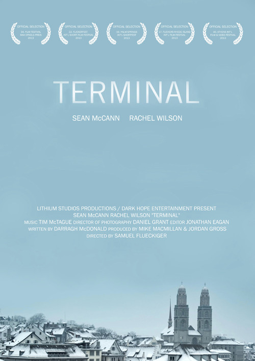 Terminal (2013) poster