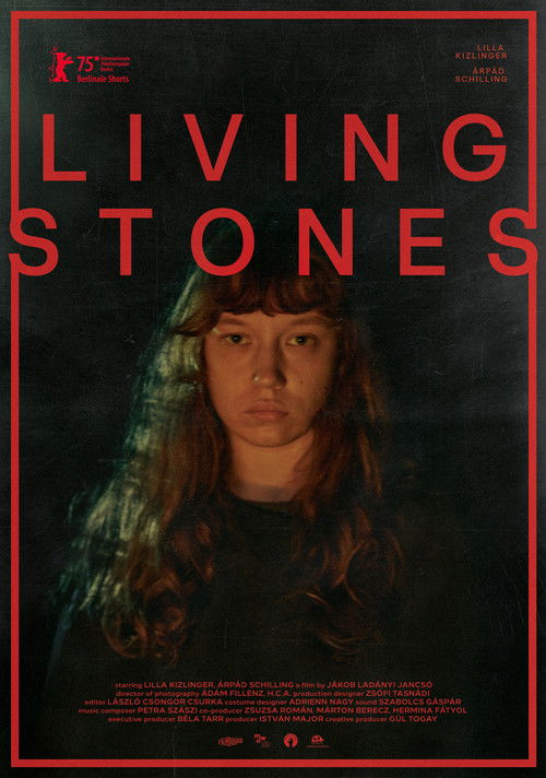 Living Stones (2025) poster