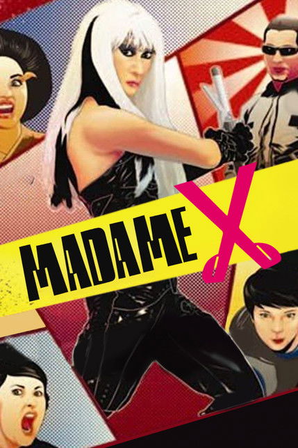 Madame X (2010) poster