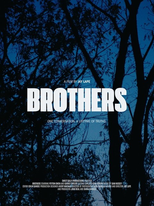Brothers (2025) poster