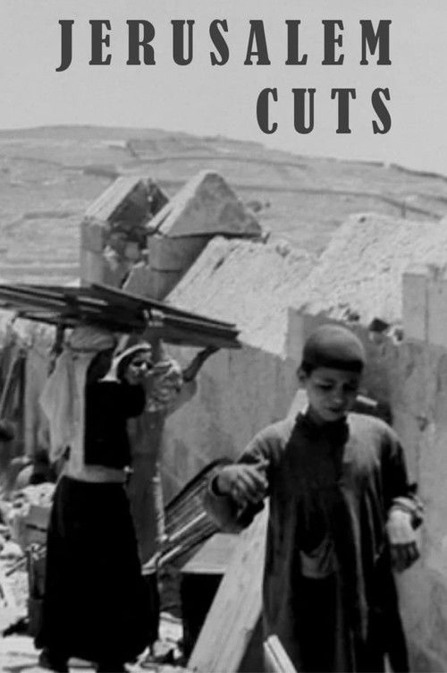 Jerusalem Cuts (2008) poster