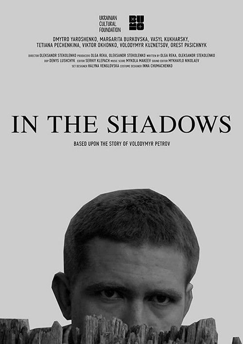 In the Shadows (2020) poster