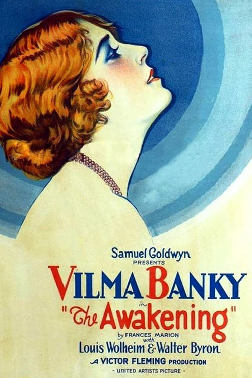 The Awakening (1928) poster