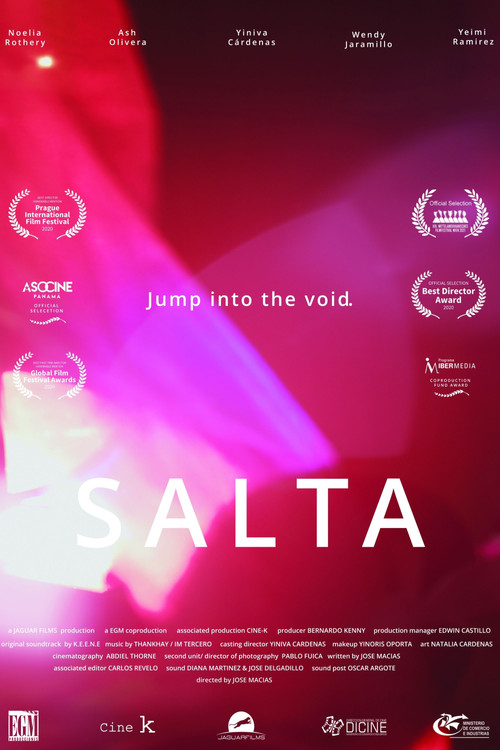 Salta (2023) poster