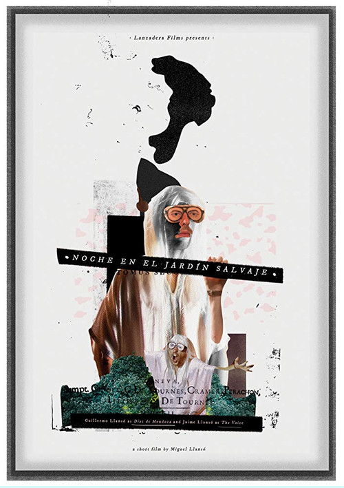 Night in the Wild Garden (2015) poster