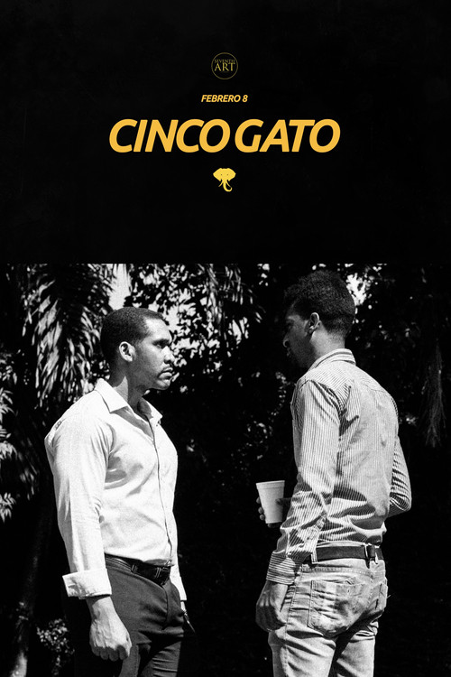 Cinco Gato (2022) poster