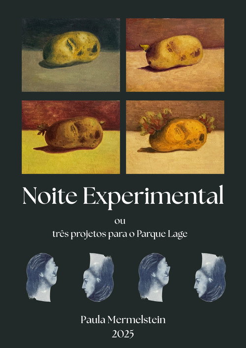 Noite Experimental (2026) poster