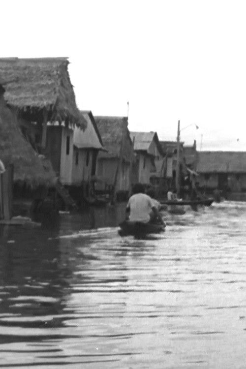 Los pirañas (1979) poster