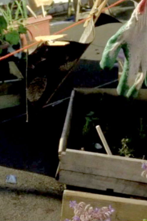 Sculpture Garden (2019) poster