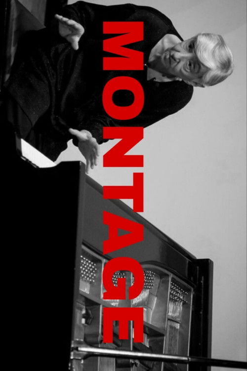 Montage (2015) poster
