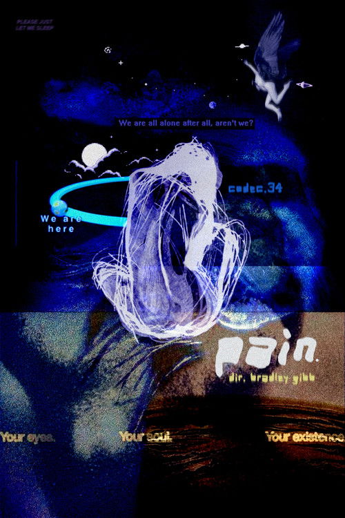 codec.34 PAIN (2023) poster