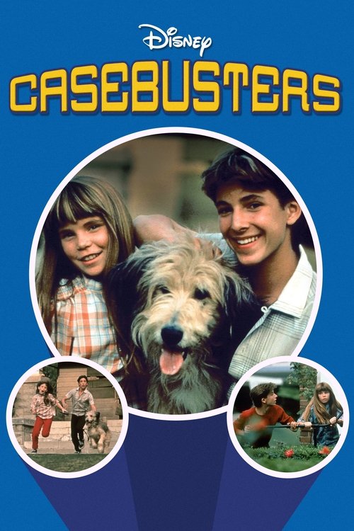 Casebusters (1986) poster