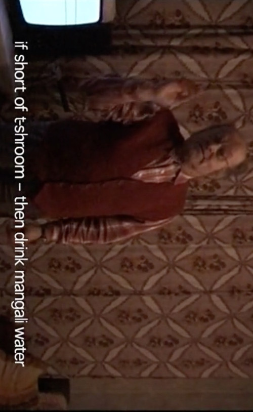 The T-shroom (2000) poster