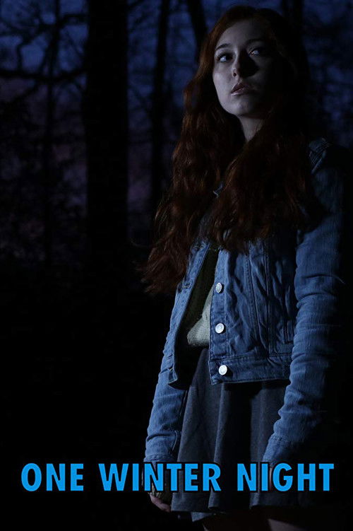 One Winter Night (2019) poster