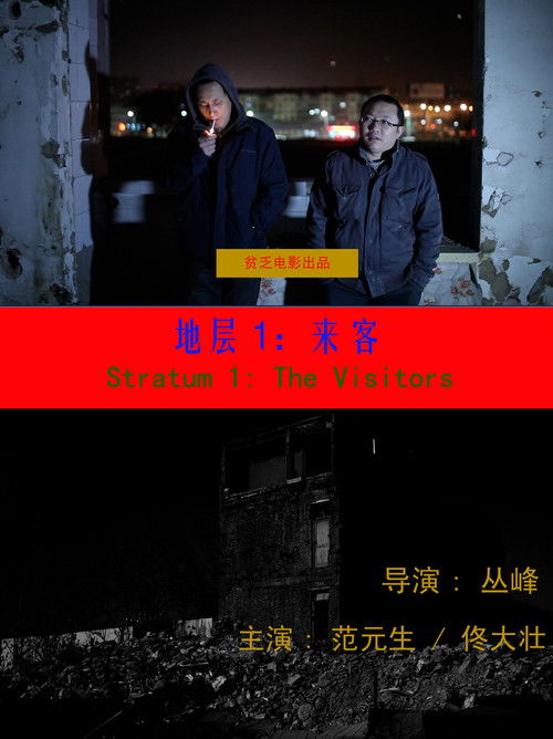 Stratum 1: The Visitors (2013) poster