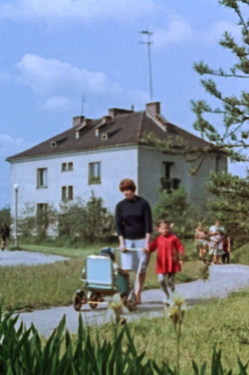 The Birth of a City (1959) poster