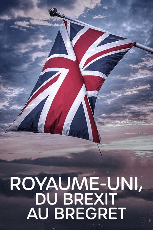 Royaume-Uni, du Brexit au Bregret (2024) poster