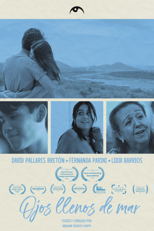 Beautiful Eyes (2024) poster