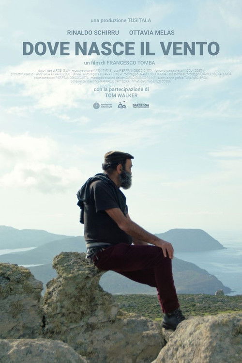 Dove nasce il vento (2021) poster